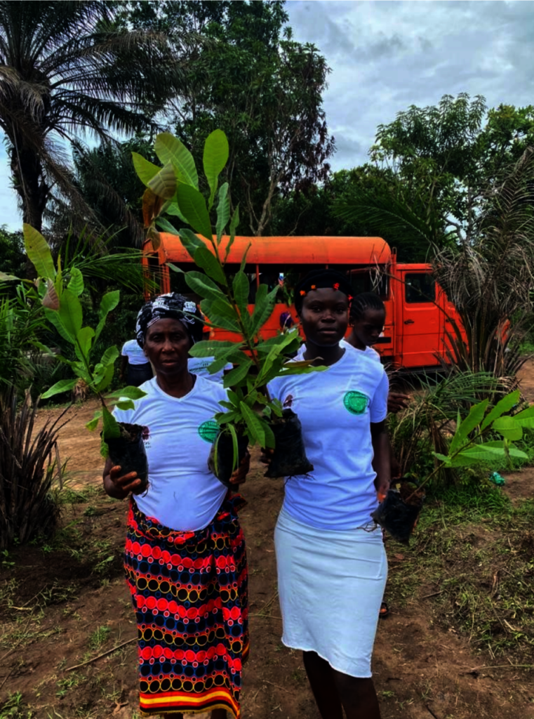 Planting 3,000 Trees in Sierra Leone