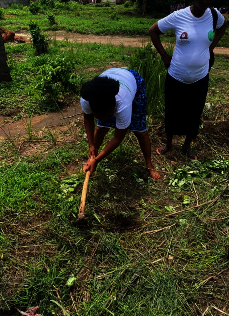 Planting 3,000 Trees in Sierra Leone