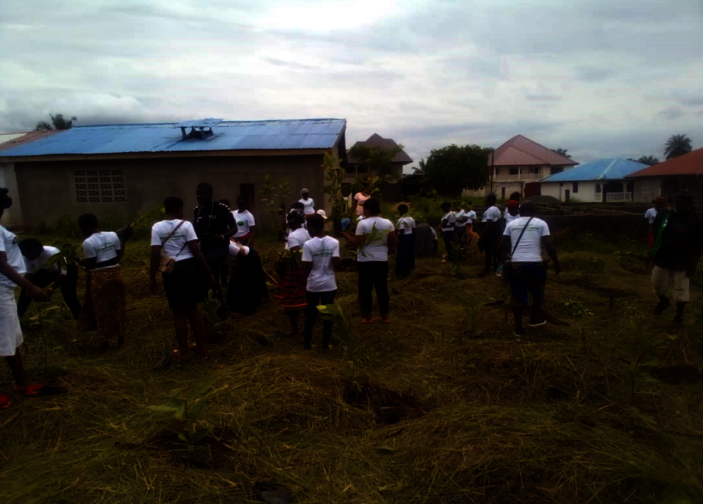 Planting 3,000 Trees in Sierra Leone