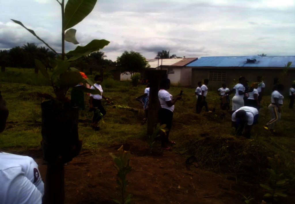Planting 3,000 Trees in Sierra Leone