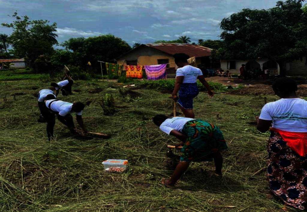 Planting 3,000 Trees in Sierra Leone