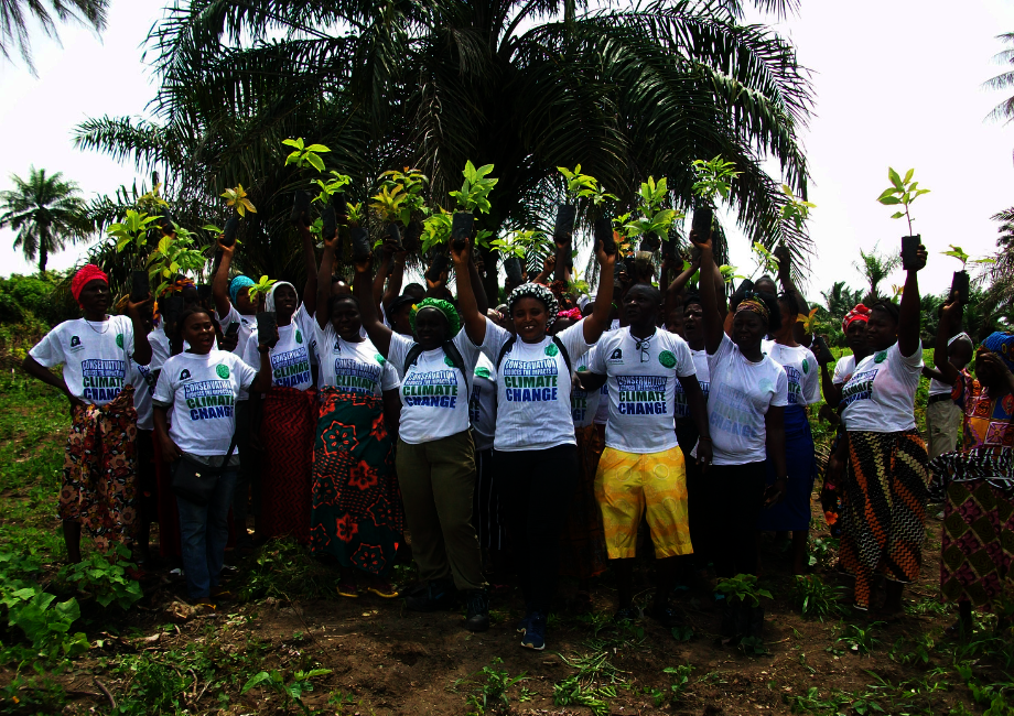 Reforesting critical habitat in Sierra Leone
