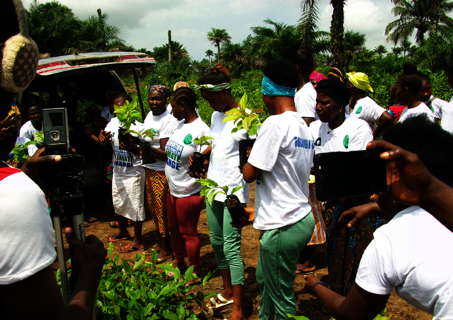 Reforesting critical habitat in Sierra Leone