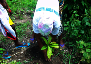 Women planting trees in Waterloo, Sierra Leone