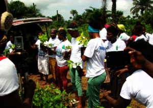 Women planting trees in Waterloo, Sierra Leone