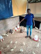 Joseph helping with the chickens