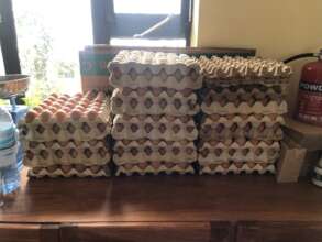 eggs to feed the children