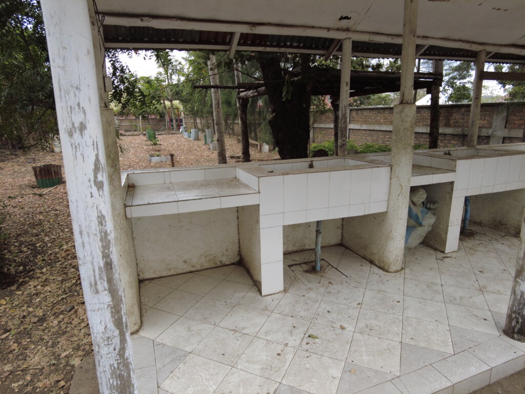 Feathers of Hope: Empowering by Poultry Farming