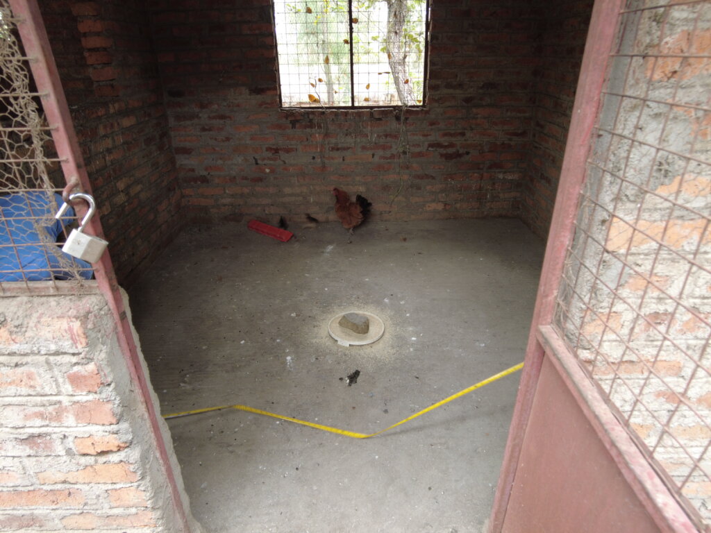 Feathers of Hope: Empowering by Poultry Farming