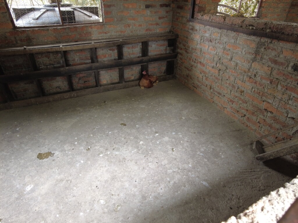 Feathers of Hope: Empowering by Poultry Farming