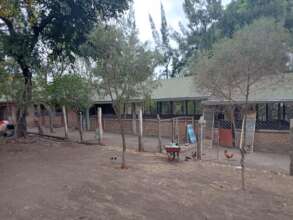 Where we will keep our chickens