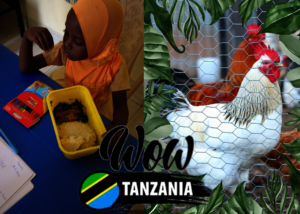 Feathers of Hope: Empowering by Poultry Farming