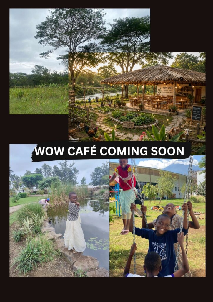 Coffee Beans of Hope: Brewing Change for the poor