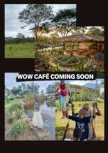 New WOW Cafe Coming Soon!