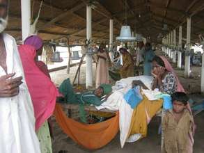 No Shelter available IDPs living in Poultry Farm