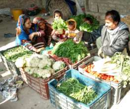 Self planted Vegetables