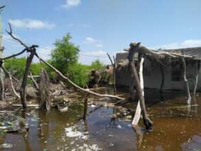 Hundreds of houses damaged