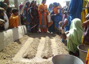 women sowing vegetable seeds