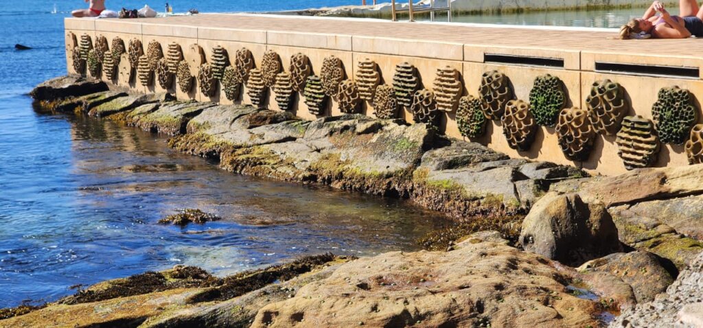 Save The Ocean with Living Sea Walls