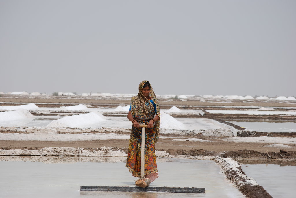Empower 230 Women in India with Solar Lanterns