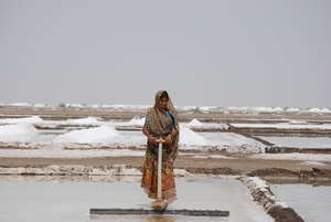 Women rake salt throughout the day