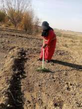 Woman Farming