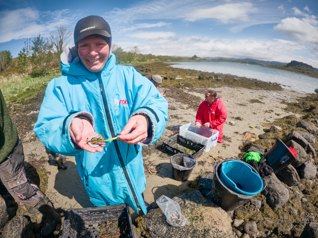 Plant hectares of seagrass meadow