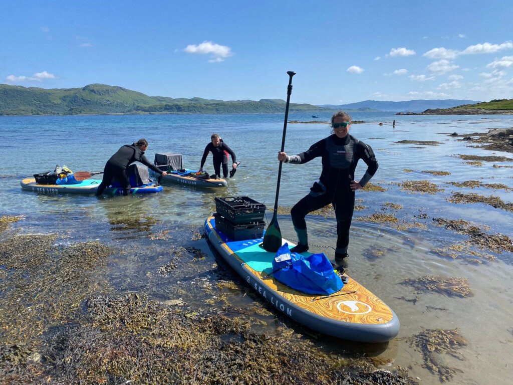 Plant hectares of seagrass meadow