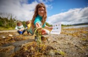 Plant hectares of seagrass meadow