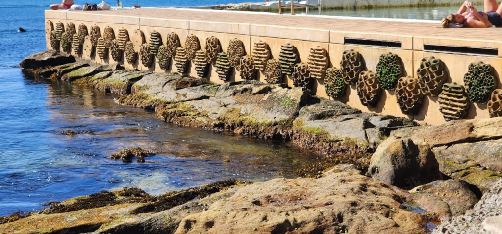 Rebuild Marine Eco Systems With A Living SeaWall