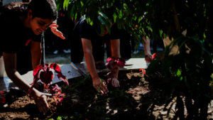 Life skills, such as gardening