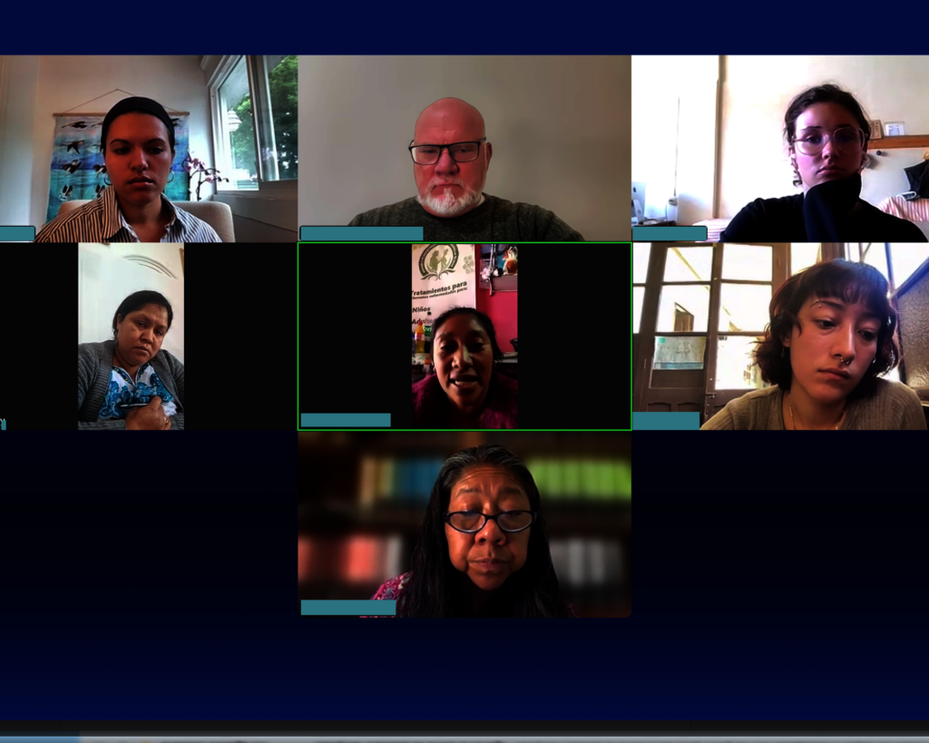 Zoom Call with UMN and Dickson Research Assistants