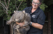 Burrows of Hope: Wombat Sanctuary Fund