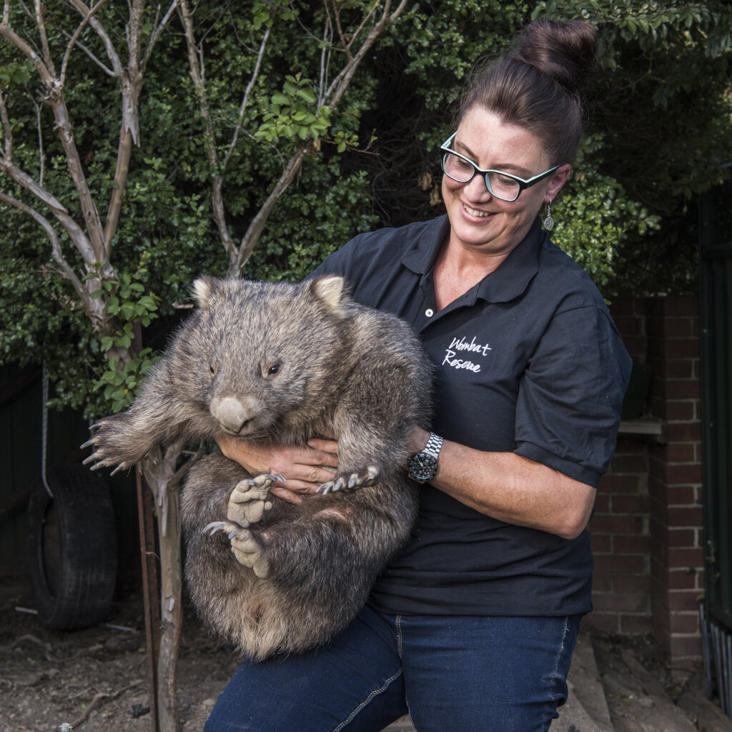 Burrows of Hope: Wombat Sanctuary Fund