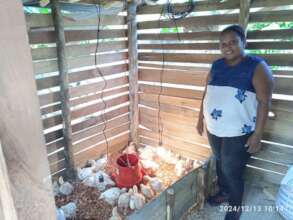Poultry