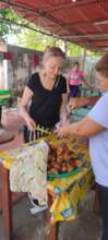 Volunteer's visit to assess programme