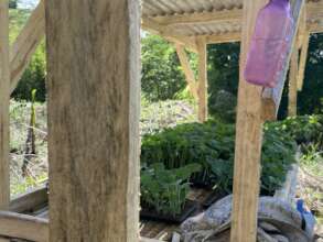 Continue with assistance