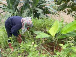 Growing food
