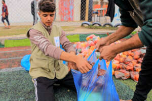 Vegtables Package