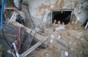 Palestine Crisis Response Fund