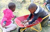 Help little "L' in Johannesburg get  grommets
