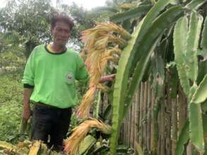 Dragon-fruit Social Enterprise Project