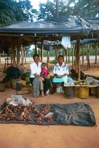 Self-Employ 50 Women in Rural Zimbabwe