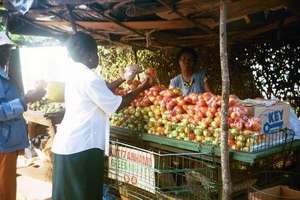 Irene Selling Vegetables
