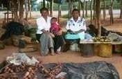 Self-Employ 50 Women in Rural Zimbabwe