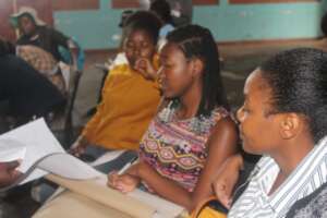 Livelihoods training