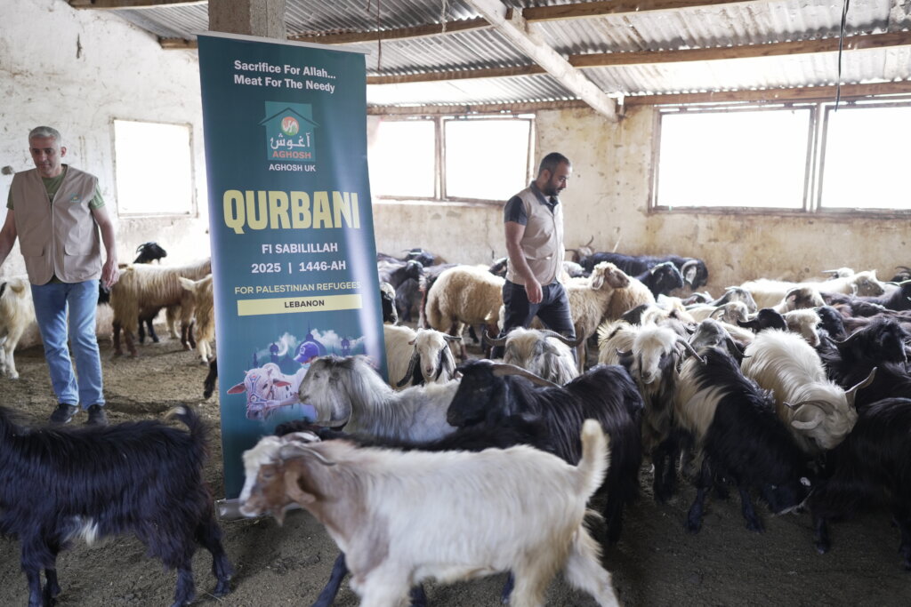 Gazan Children needs your help