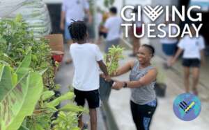 GivingTuesday Campaign