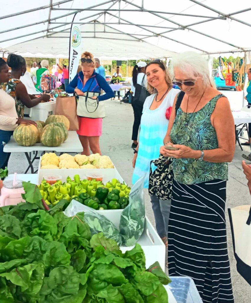 Creating Sustainability in Abaco