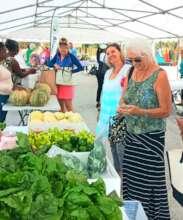 Abaco Strong Farmers Market